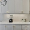 Asidrama 10 Pack Brushed Satin Nickel and Gold Cabinet Knobs,Kitchen