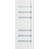 Slab Barn Door Panel Frosted Glass | Quadro 4266 White