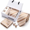 Champagne Gold Striped Silk Tie Gift Set for Men with