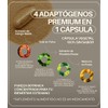 Stress Reset Adaptógenos Rhodiola Rosea Tulsi Múcuna Hongo Reishi Capsulas