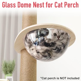 Japard Space Clear Capsule Dome Cover, Cat Hammock, Cat Tree Replacement, Pet Bed with Wooden Frame Holder, 11.6 inches, Kitty Sleeping