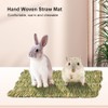 Grass mat for rabbits, small animal grass mats, rabbit grass