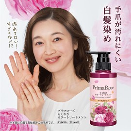 PrimaRose Z22K001 Rakuwaza Color Treatment (Dark Brown) 10.6 oz (300 g) / Elegant Rose Scent, No Diamine Dyes, Paraben Free, Pump Type, Color Treatment, No Brush Required, Gloves Not Required, Gray