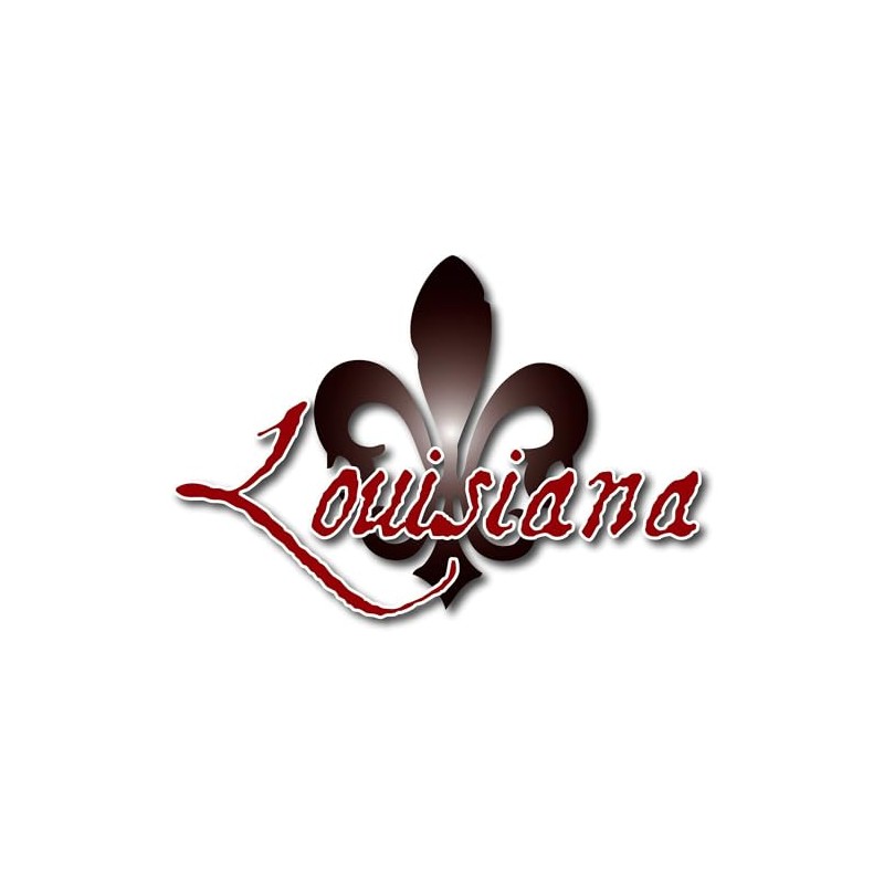 CafePress Louisiana Rectangle Bumper Sticker Car Decal
