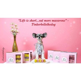 Snickerpoodle Dog Treats Dog Macarons Premium Dog Treats Luxury Dog Gift Healthy Dog Snacks (snickerdoodle)