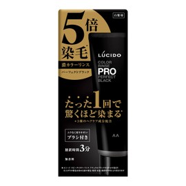 Lucido Color Rinse PRO Perfect Black Hair Dye Treatment, 4.2 oz (120 g)