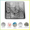 Biutee Nail Image Plate Set of 12 Nail Plates 1