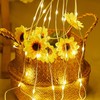 Clearhill 3 * 3Curtain String Lights 300LED Warm 8 Modes