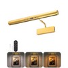 Skairipa 13" Rechargeable Picture Light for Wall with Remote, Gold