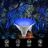 Blue Dusk to Dawn PAR38 LED Flood Light Bulbs with