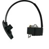 INPWOC 4244-400-1307 Ignition Coil with spark plug for Stihl Backpack