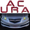 Advanced Trims Red Raised Plastic Letters Inserts Acura TL 2004-2008