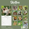 Sloths Calendar 2026 | 12 Month Wall Calendar | Avonside