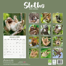 Sloths Calendar 2026 | 12 Month Wall Calendar | Avonside Publishing | Plastic Free Packaging