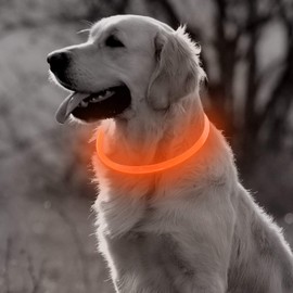 BSEEN LED Dog Collar Light - USB Rechargeable Light Up Puppy Collar, TPU Cuttable Glowing Dog Necklace for Small Medium Large Dogs