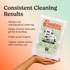 Freddie Toilet Cleaner Sheets - Fresh Pines Scent - Plastic