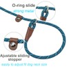 Mycicy Slip Lead Dog Leash, 1/4" x 5ft No Pull