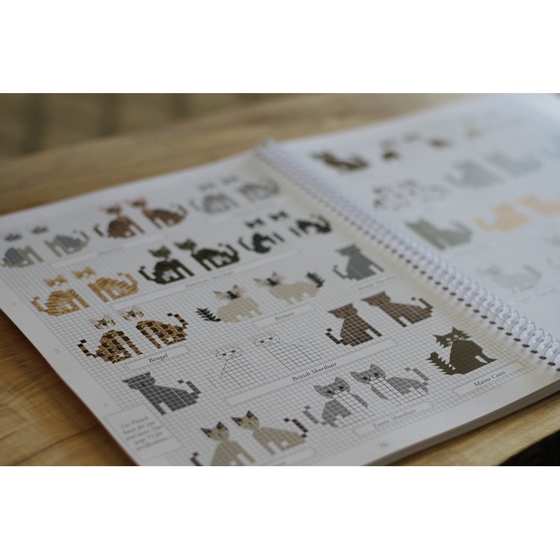 Do-It-Yourself Stitch People (1st Edition)