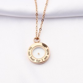 WUSUANED Mustard Seed Faith Necklace Seed Charm With Bible Verse Inscription Christian Pendant Religious Jewelry Inspirational Christian Gift For Women (Do not fear necklace RG)