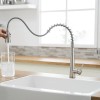 Modern Single Handle Kitchen Sink Faucet with Pull Out Sprayer