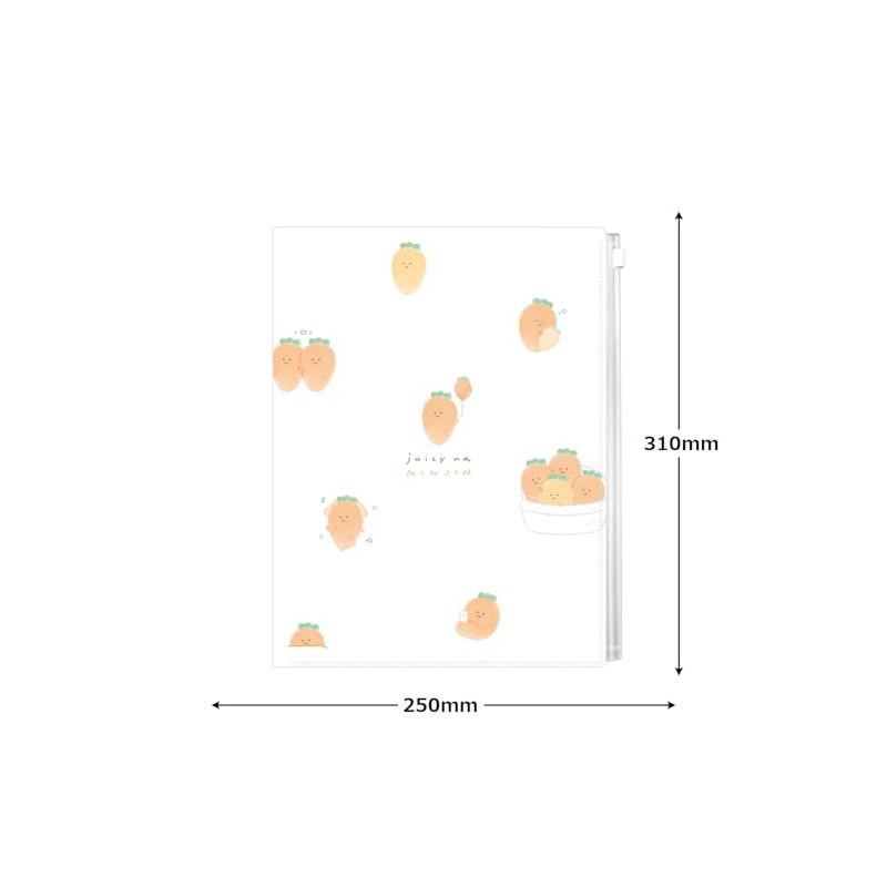 Camio Japan 229649 Clear File with Zipper, 6-P File with