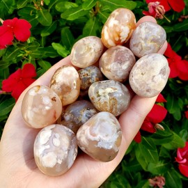 Flower agate tumbled polished A grade Natural Crystal Healing Gemstone from Brazil - 2 piece set