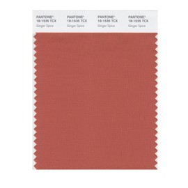 PANTONE Smart 18-1535X Color Swatch Card, Ginger Spice