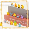 GSrenyu 40 Pcs Mini Ducks 40 Styles Tiny Resin Ducks