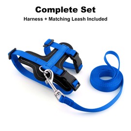 Plutus Pet Adjustable Cat Harness and Leash Set, Quick Release, Escape Proof Nylon Vest with Leather Trim for Kitten, Small Medium Large Cats, Royal Blue