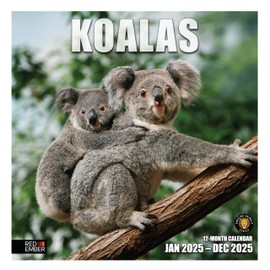 RED EMBER Koalas 2025 Wall Calendar 12 Month | 12" x 24" Open | Thick & Sturdy Paper | Giftable | Calendar 2025