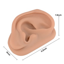 Modelo de oreja de acupuntura, réplica de oreja artificial derecha para enseñanza de terapia auricular, simulador de oreja de silicona, práctica de acupuntura, simulación de oído humano auténtica
