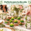 48pzs Velas Cactus Aromaticas Suculento Decorativas Con Caja