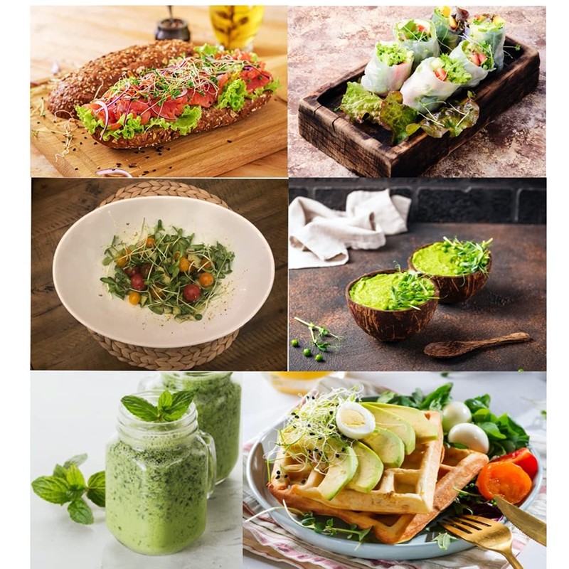 Microgreens Kit Refills with 9 Plant Mats & 9 Types