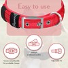 Comfort Fit Soft Padded Dog Collar with Adjustable Buckle -