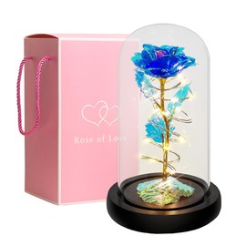 copap Ewige Rose Im Glas, Schöne und das Biest Rose, Galaxy Rose mit LED, Romantische Geschenke für Frauen, Rosen Geschenke für Geburtstag, Muttertag, Hochzeit, Abschluss, Jahrestag (Farbige Rose)