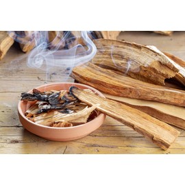 Ladybug Spot Long Lasting Natural Solid Cologne Infused with Essential Oils for Men & Woman 1 OZ Large Size (Palo Santo)