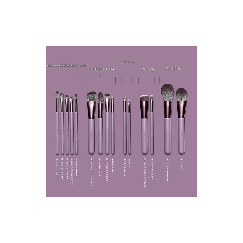 EIGSHOW - Juego de brochas de maquillaje profesional, kit de
