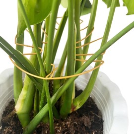 GDLCETK 4PCS Adjustable Monstera Plant Support Stakes - Indoor Plants Accessories with Secure Clamps, Easy to Install & Customize for Tall Plants | Durable Metal Design for Healthy Growth