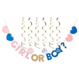 American Greetings Gender Reveal Party Supplies, Banner Kit (7-Pieces)