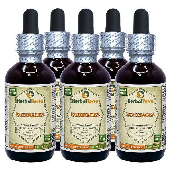Echinacea (Echinacea Angustifolia) Tincture, Organic Dried Root Liquid Extract (Brand Name: HerbalTerra, Proudly Made in USA) 5x2 fl.oz (5x60 ml)