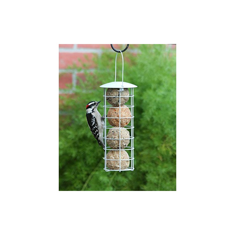 Pacific Bird & Supply Co. Insect + Hot Pepper Suet