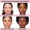 FV Liquid Blush for Face Liquid