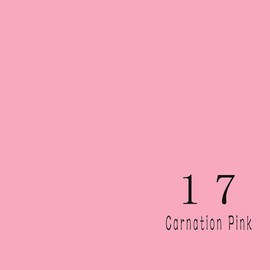 Huamei Seamless Photography Background Paper, Photo Backdrop Paper (8.9x36 Feet, #17 Carnation Pink)