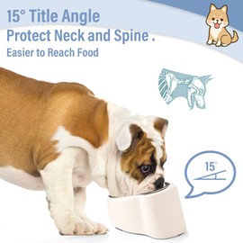 15° Elevated Dog & Cat Bowl – Anti-Vomiting Tilted Stainless Steel Pet Feeder, Non-Slip Raised Base for Small & Medium Pets, Easy to Clean, Ergonomic Modern Design