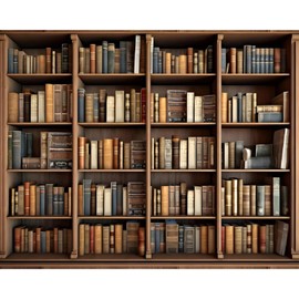 DORCEV 12x10ft Library Bookshelf Photography Backdrop Library Office Study Room Bookcase Photo Background Video Conference School Online Class Poster Banner Decor Wallpaper Portrait Video Studio Prop