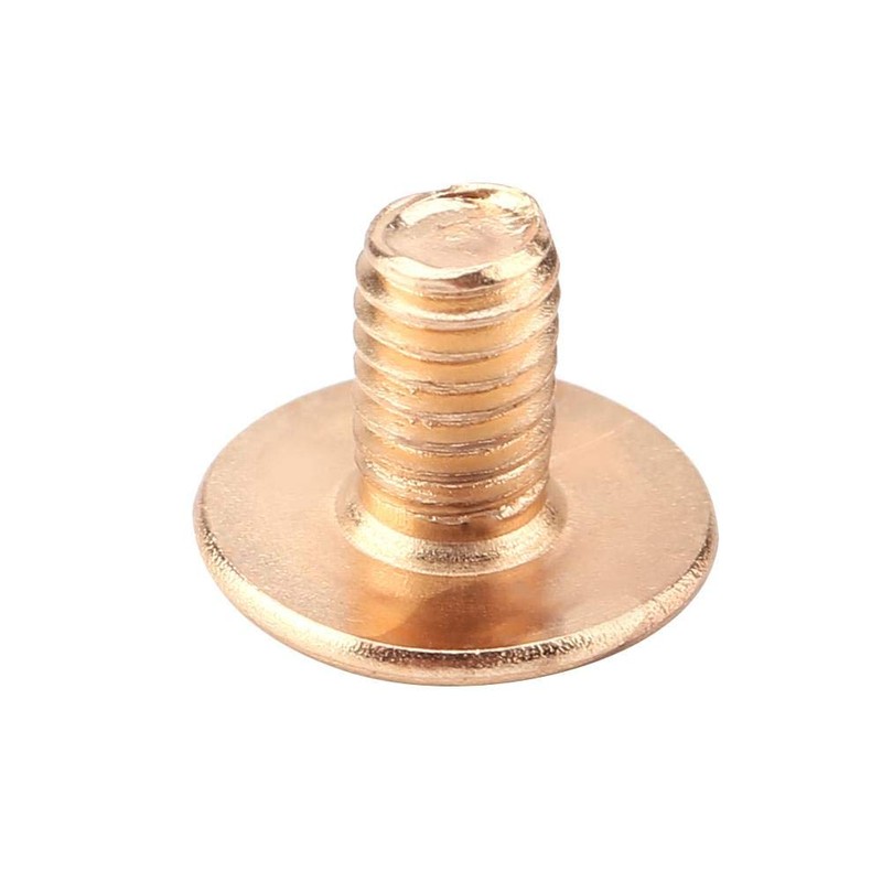 FTVOGUE 10pcs Craft Rivets Brass Studs Screw Back Round Head