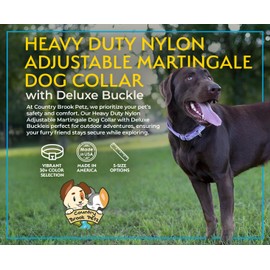 Country Brook Petz Heavy Duty Nylon Adjustable Martingale Dog Collar with Deluxe Buckle for Small Medium Large Breeds - 30+ Vibrant Color Options (1 Inch, Extra Large, Christmas Green)