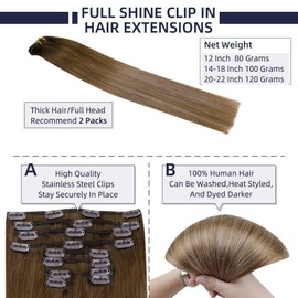 Full Shine Clip in Hair Extensions Individual 10Pcs Real Remy Human Hair Extensions Double Weft with Clips 20 Inch Thick Natural Brazilian Hair Pieces Dark Brown to Golden Brown and Ash Blonde 120Gram