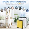 Vital 200S Pet Care Replacement Filter Compatible with LEVOIT Vital