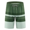iCKER Men's Shorts, Swimming Trunks, Beach Shorts, Board Shorts, Quick-Drying